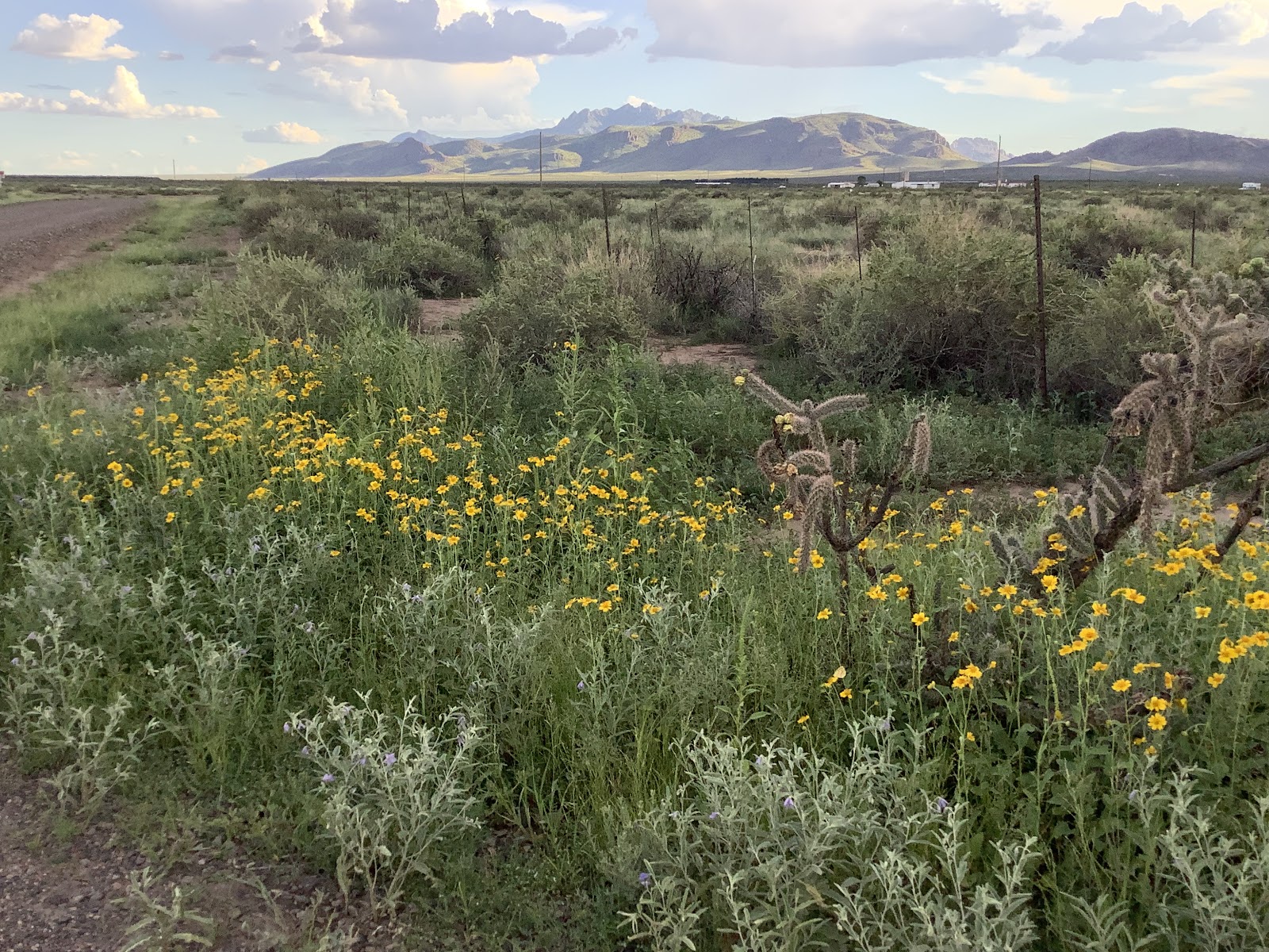 El Rancho Lobo RV Park