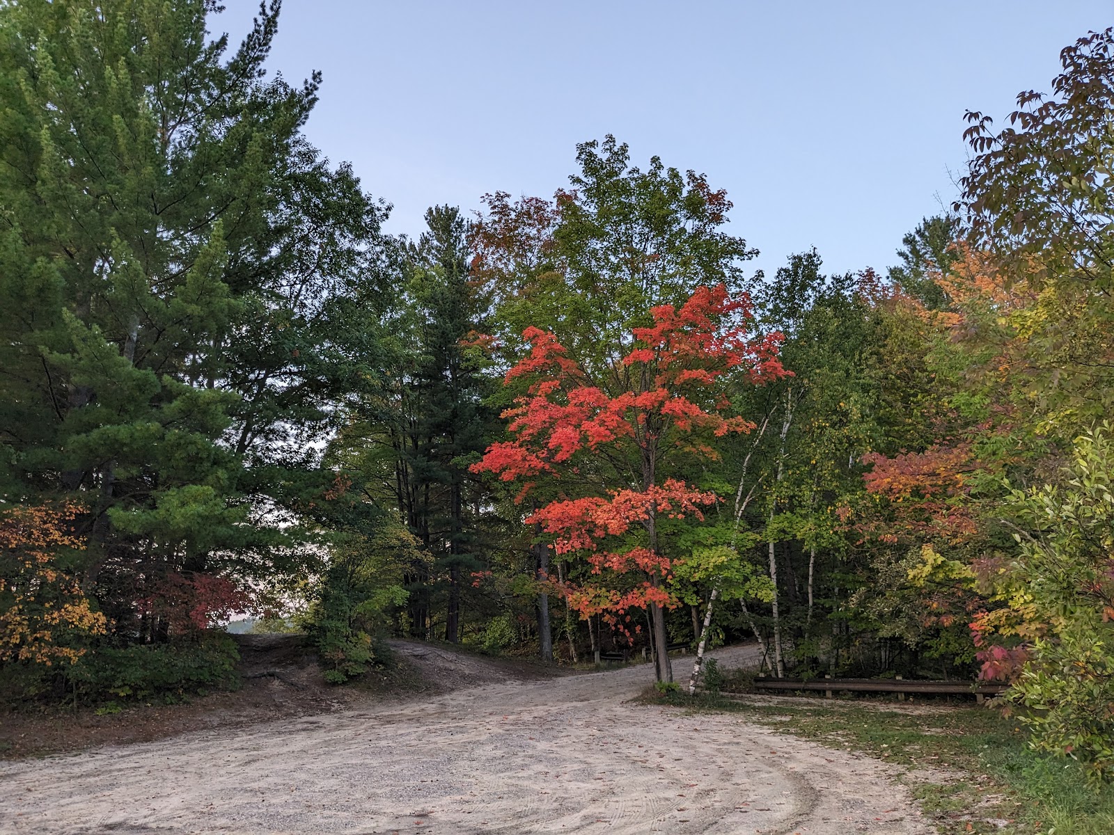 Arbutus Lake SF Campground