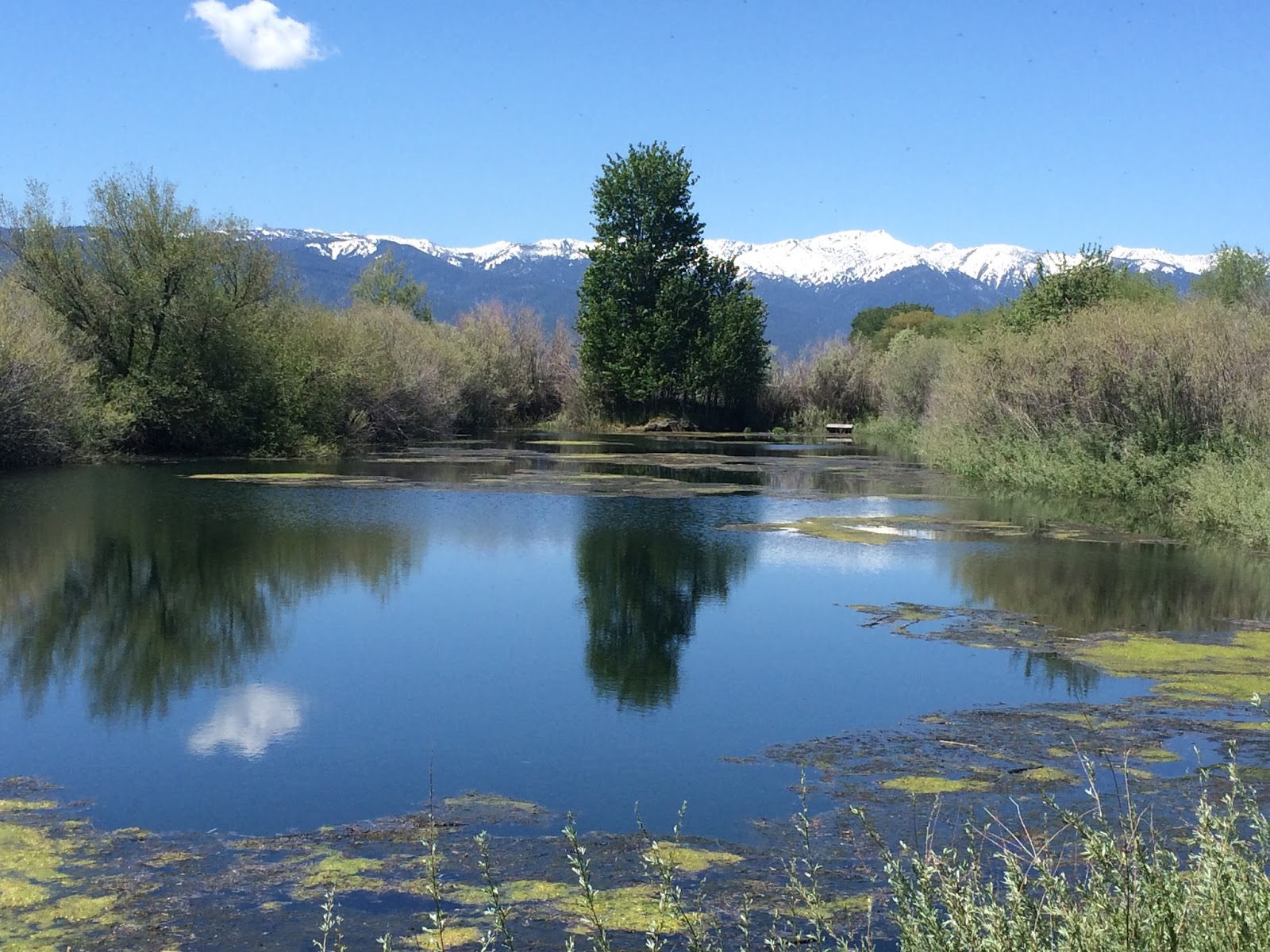 Oregon Trails West RV Park