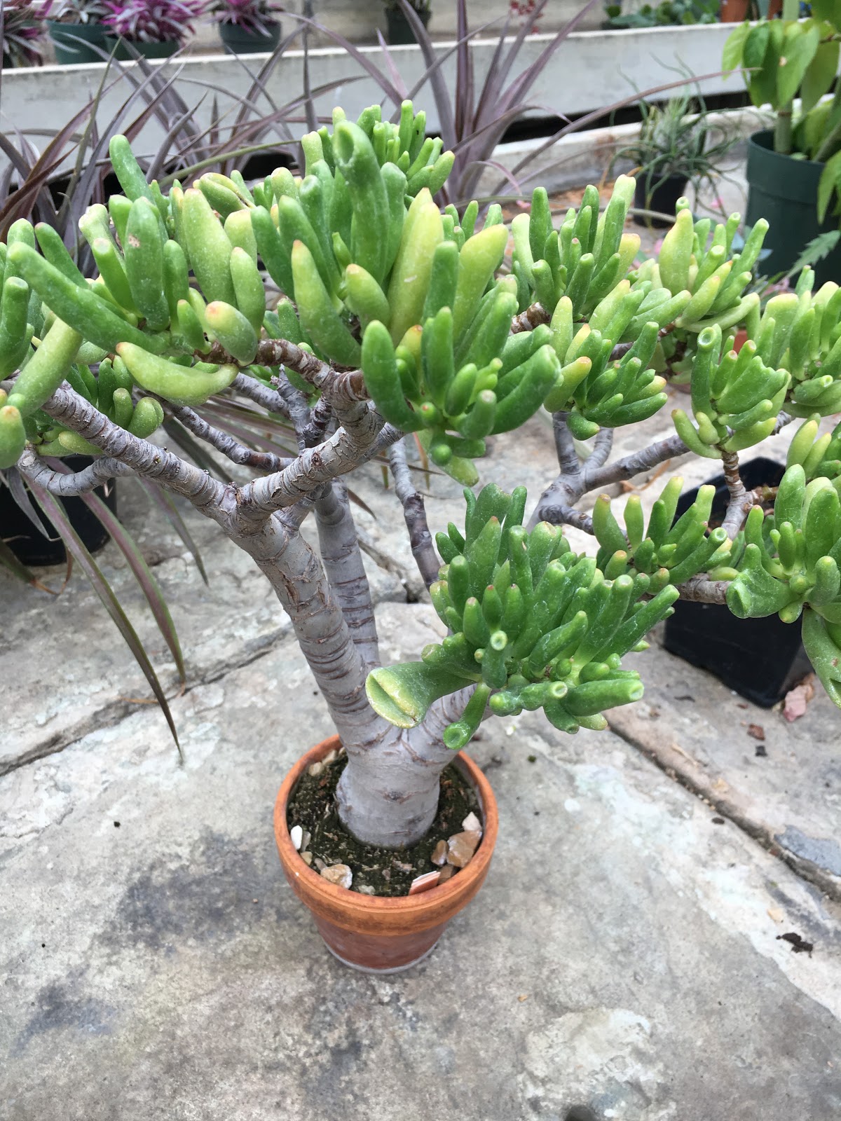 Kilbourn Park & Organic Green House