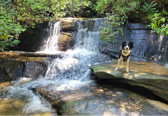 Keowee-Toxaway State Natural Area