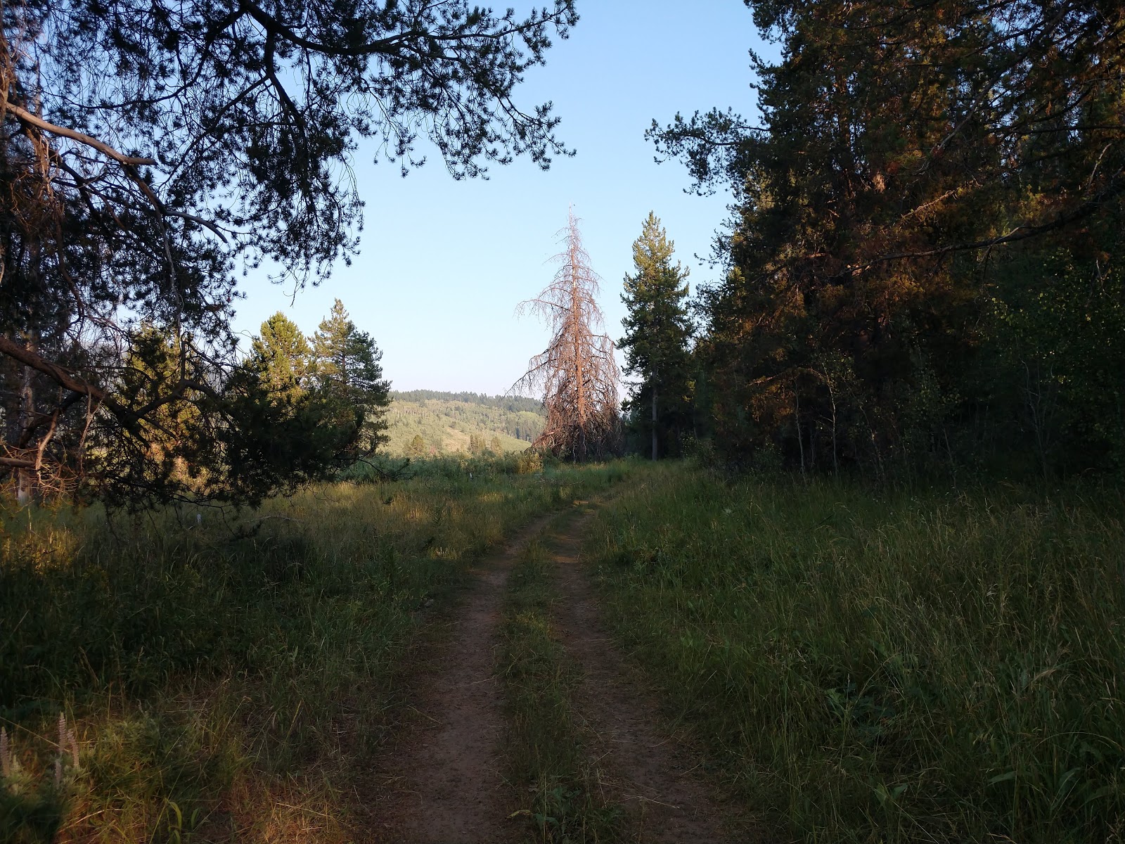 Gravel Creek Campground