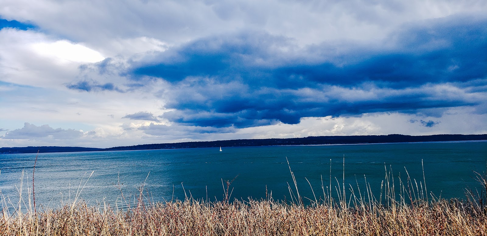 Smitty's Island Retreat