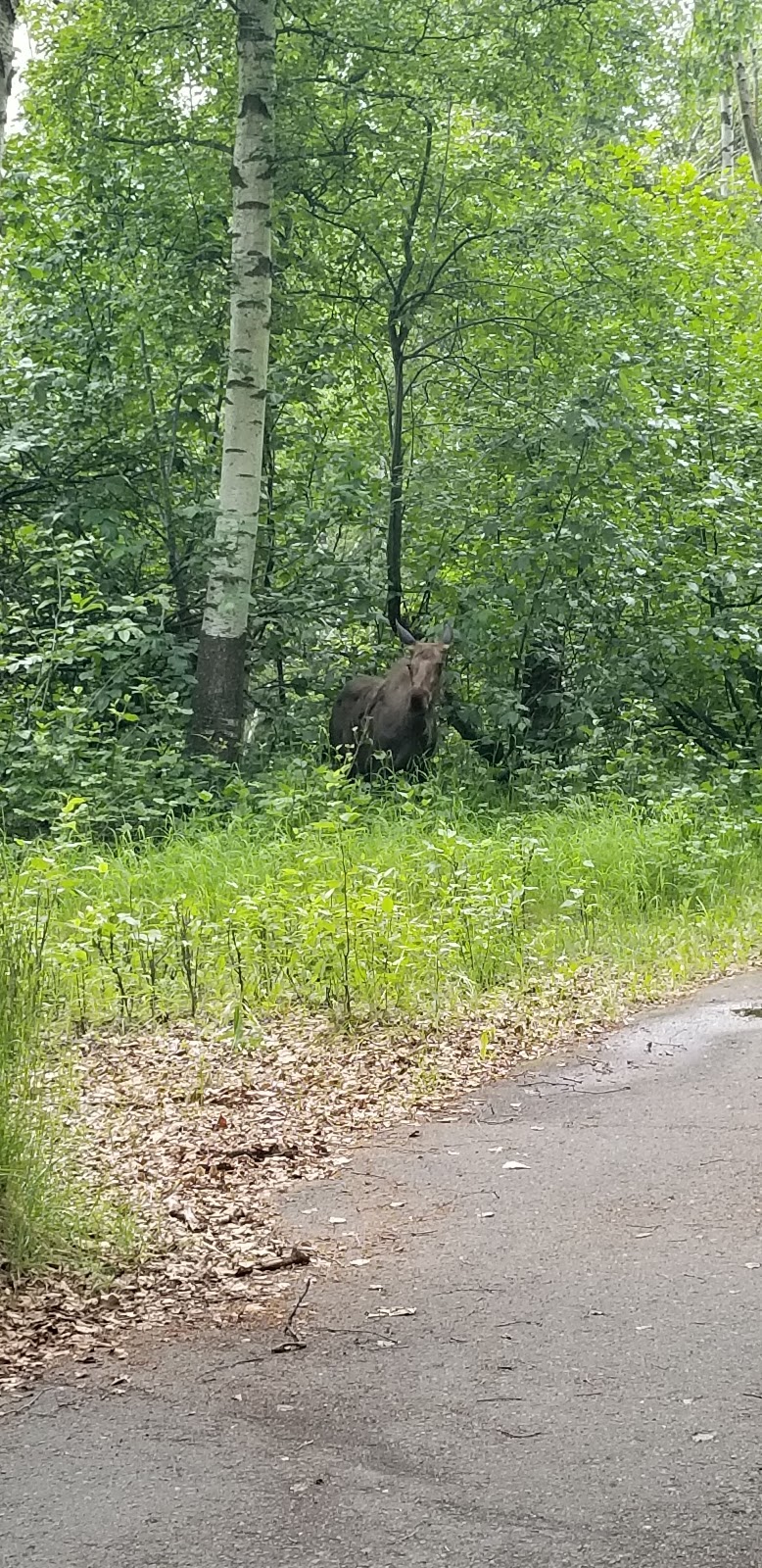 Golden Nugget RV Park