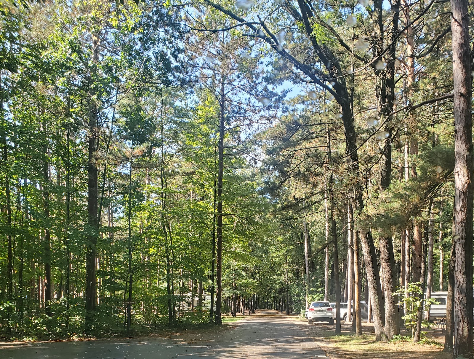 Hoffmaster State Park