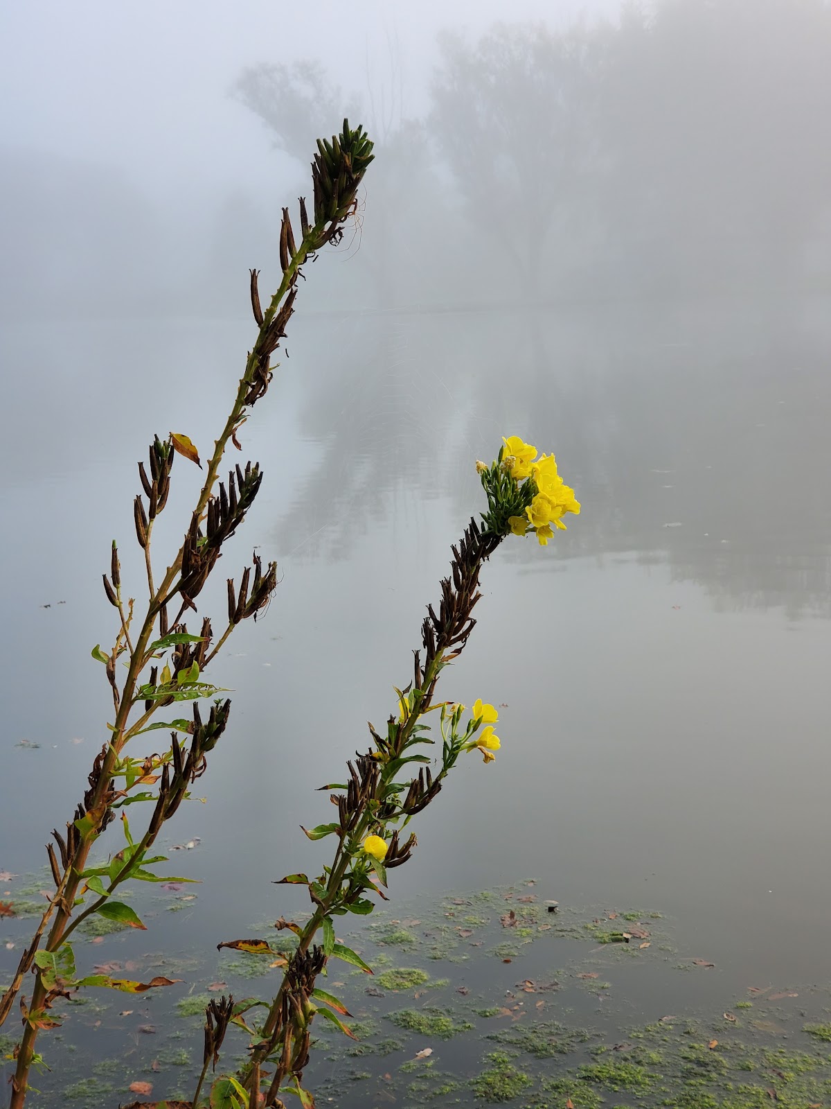Terrace Lakes Campground