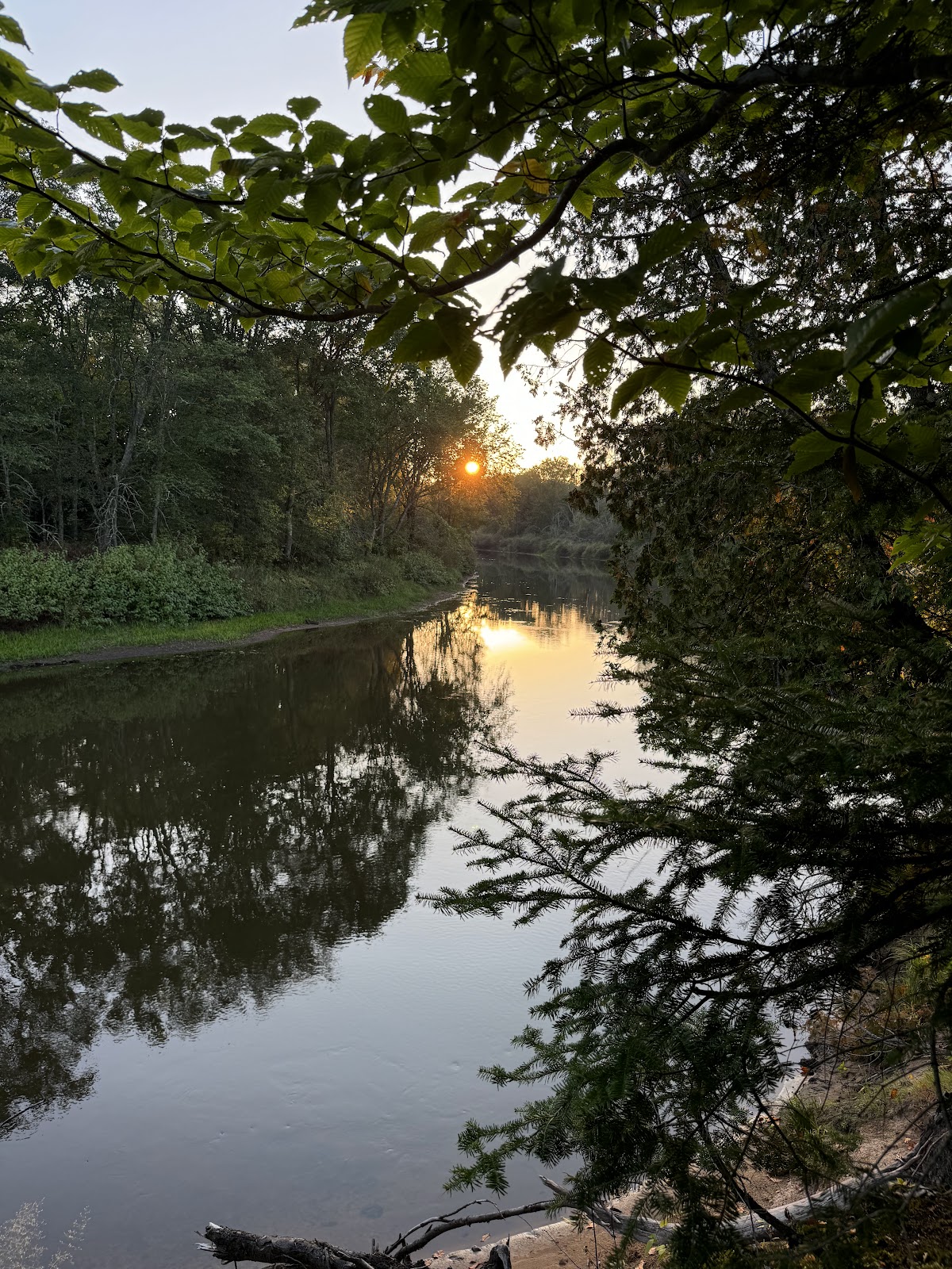 Merwin Creek SF Campground