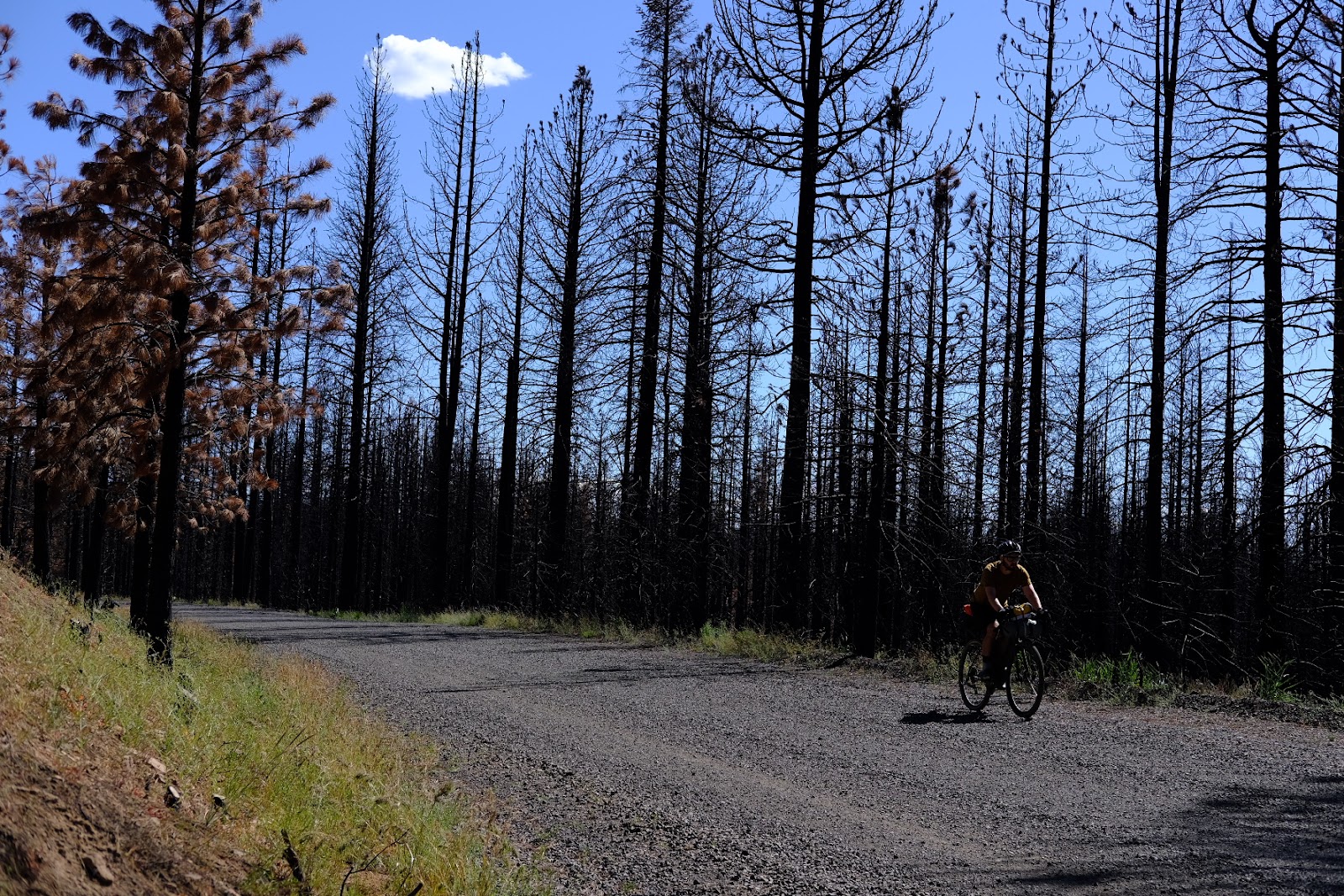 Conklin Park Campground