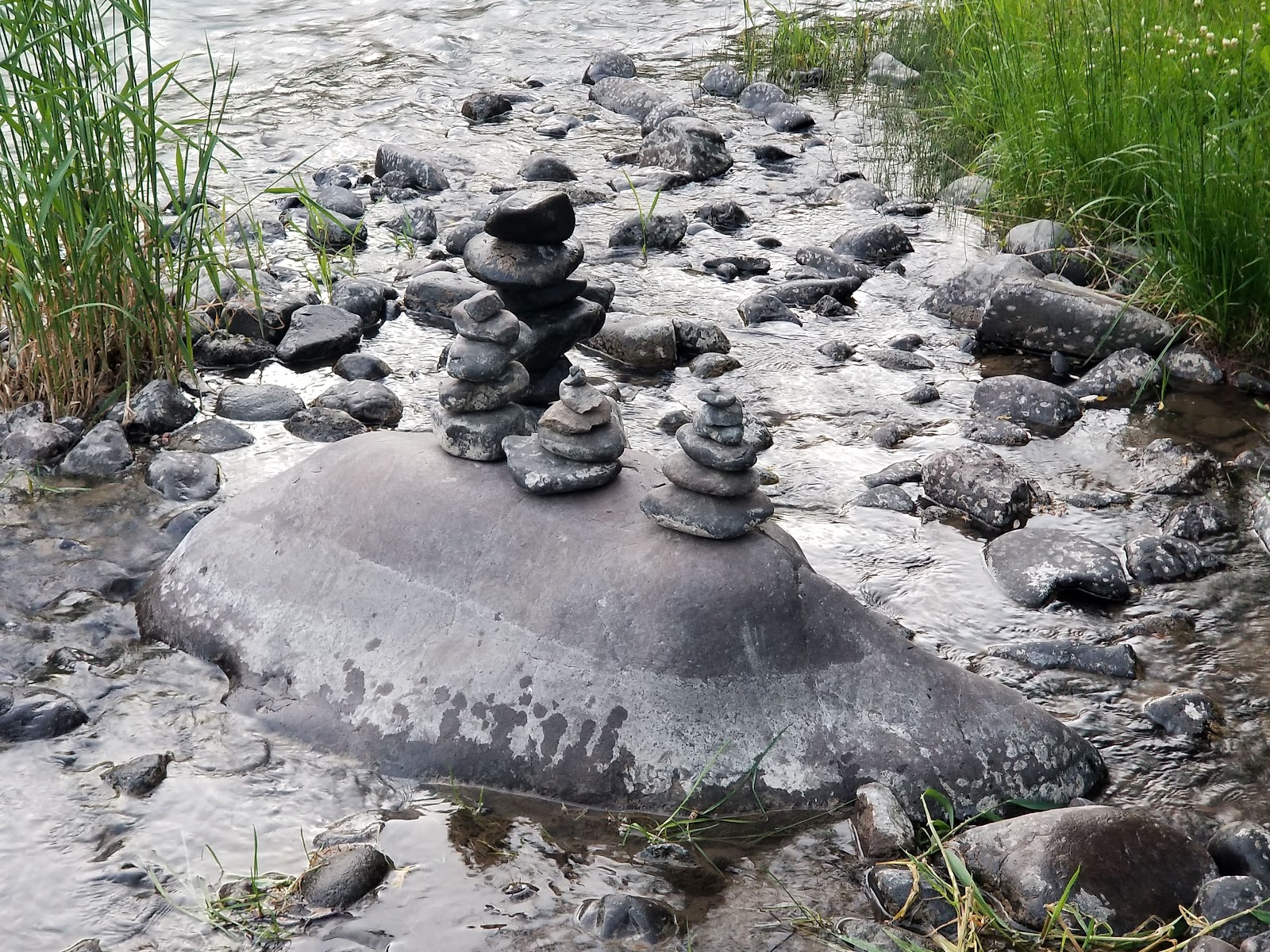 Big Cimarron Campground