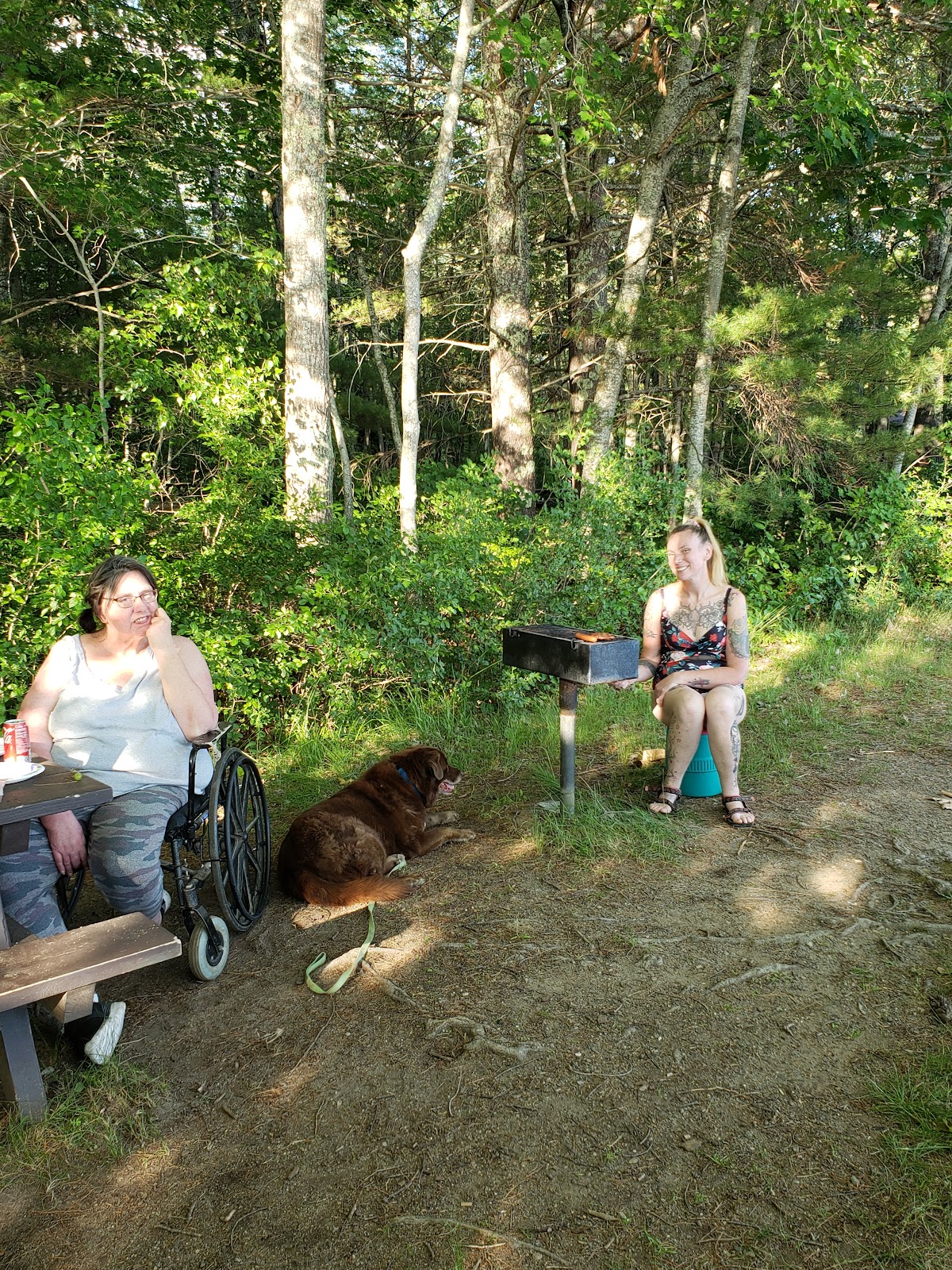 Damariscotta Lake State Park