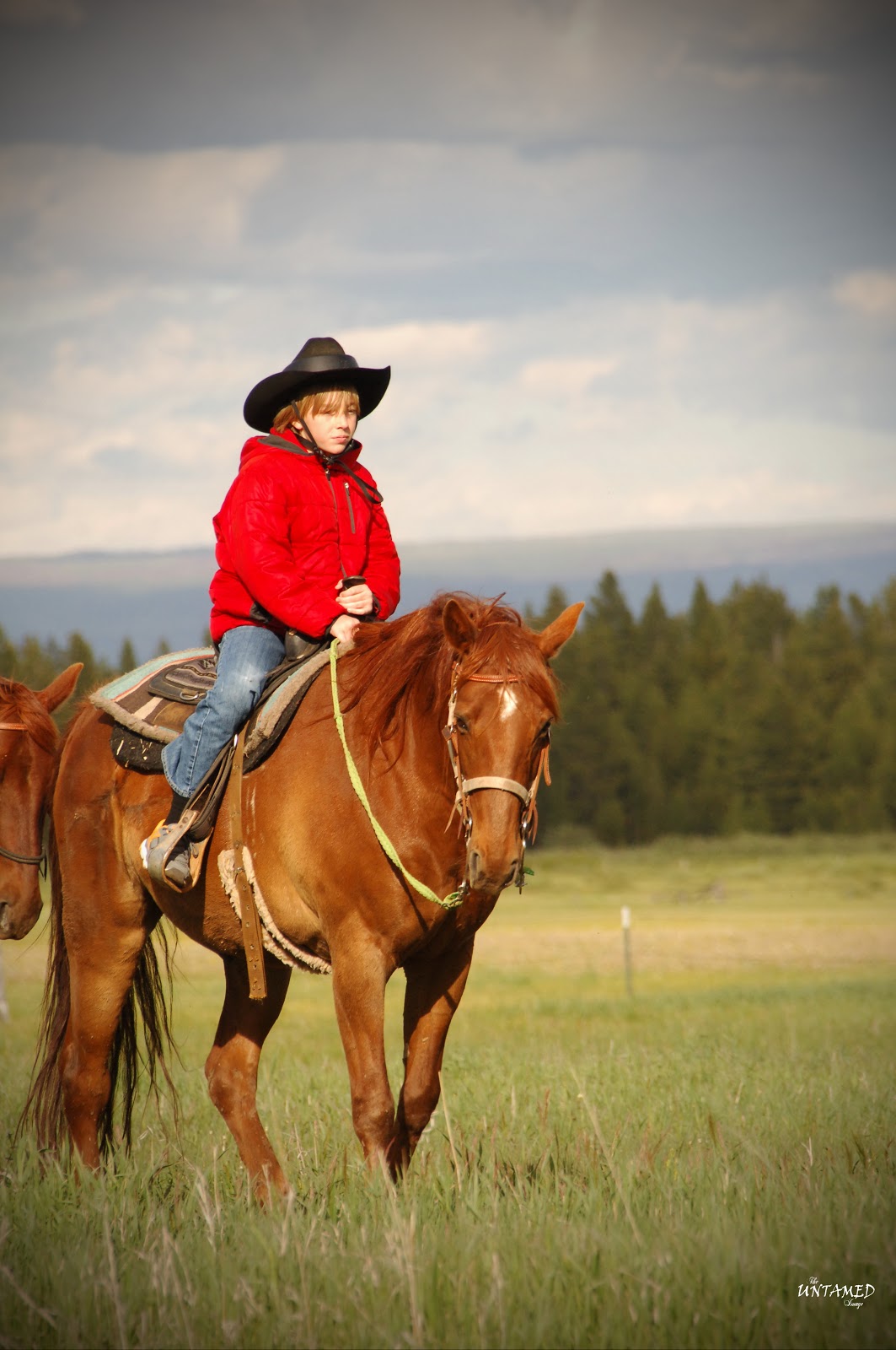 Pony Express Motel and RV Park