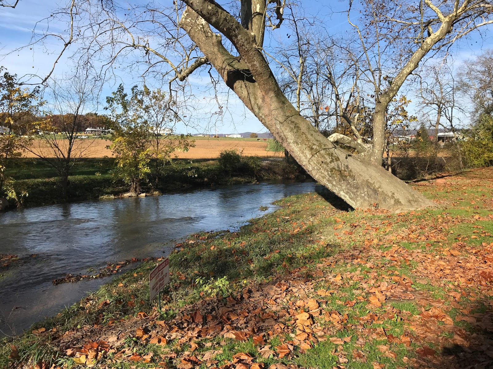 Twin Bridge Meadow Family Campground