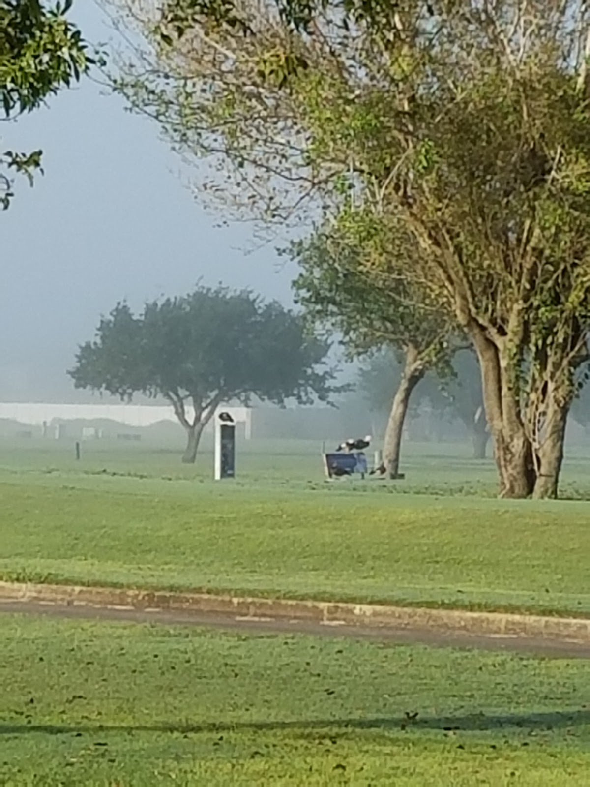 Wrigleys RV At Monte Cristo