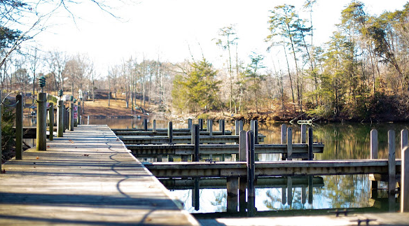 Halesford Harbour Resort