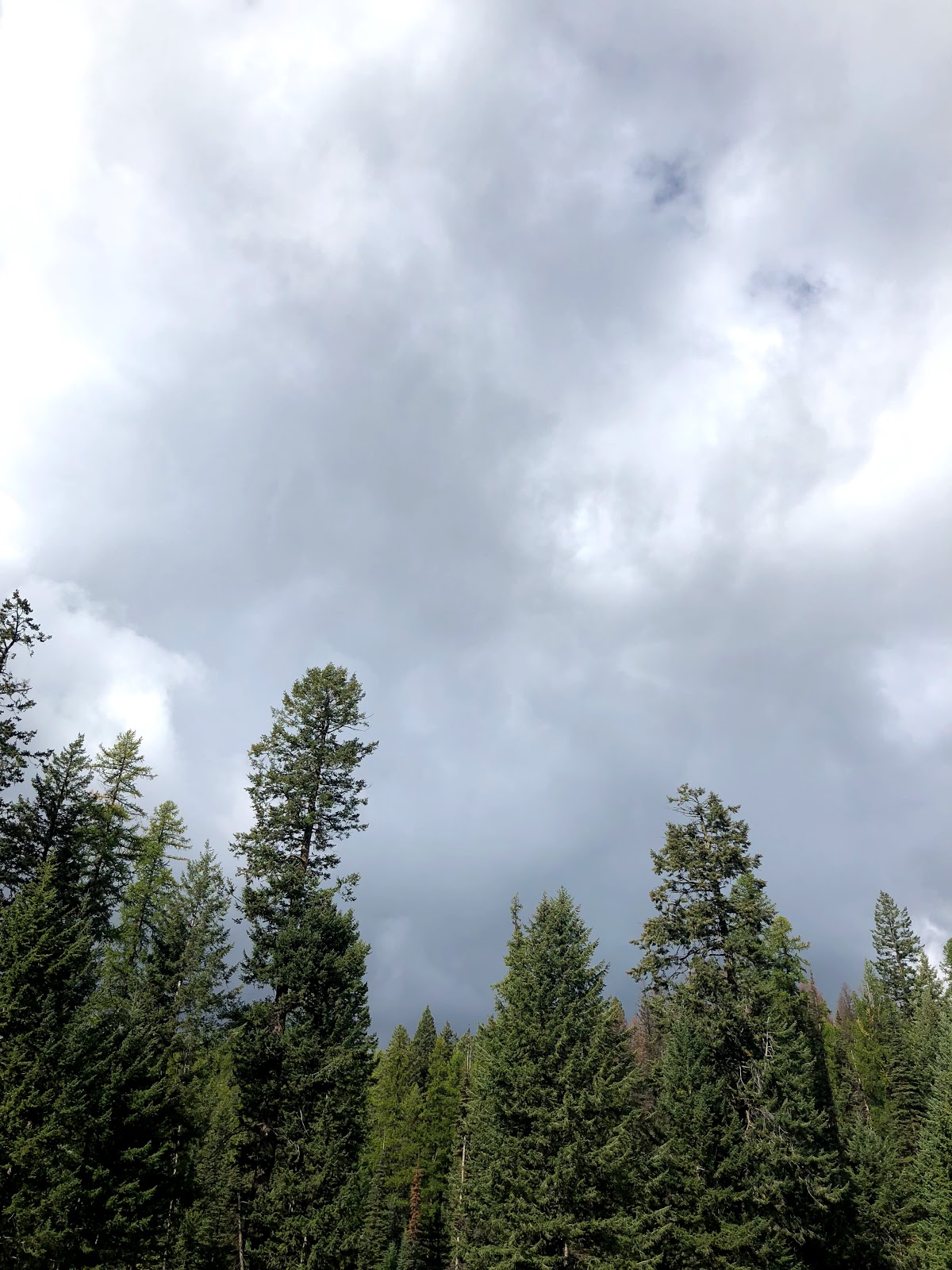 Salmon Meadows Campground