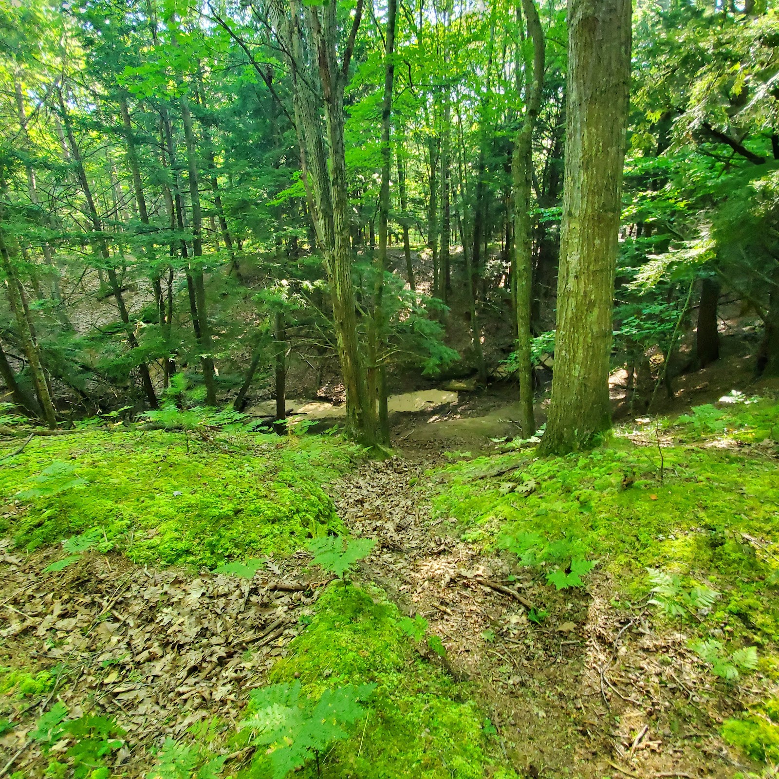 Lake Michigan Recreation Area
