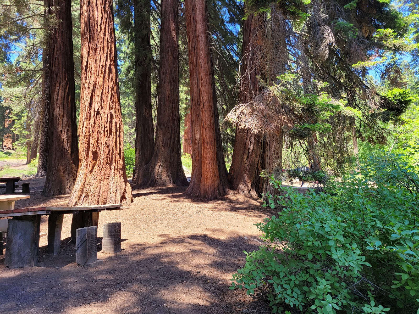 Balch Park Campgrounds