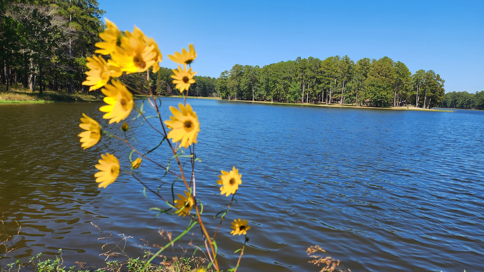 Marathon Lake Rec Area NF Campground
