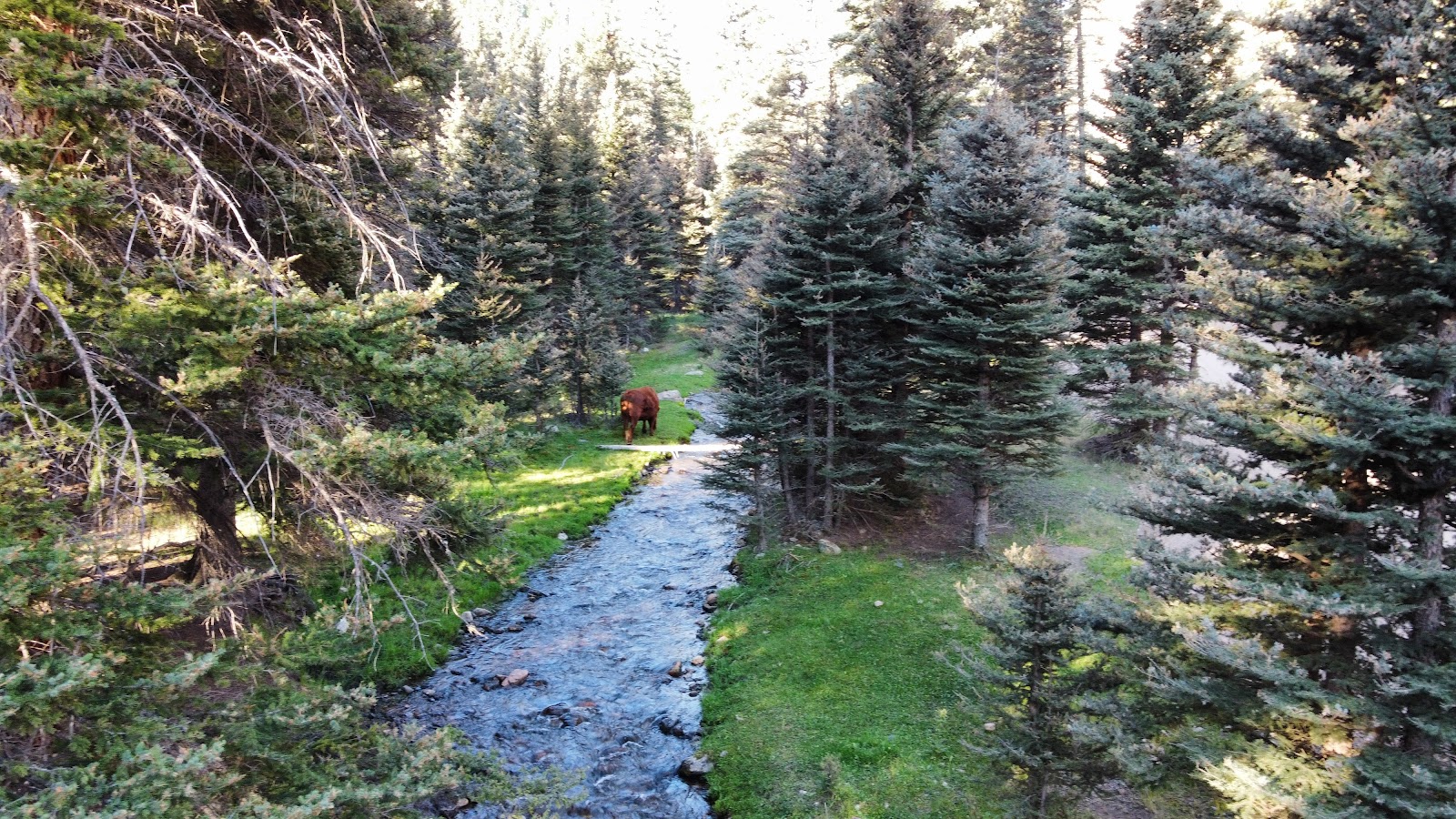Rio Costilla Park & Campground