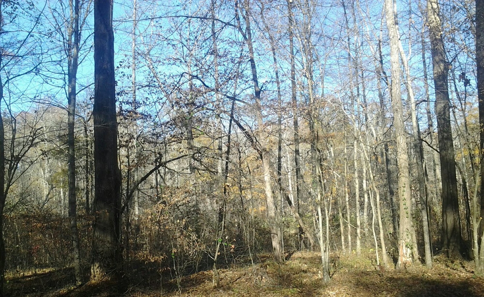 Newton Factory Shoals