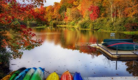 Julian Price Park Campground