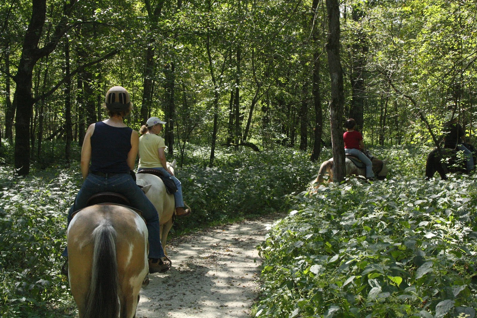 Family - Forestville Mystery Cave State Park