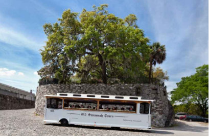 Reynolds Park Open Space