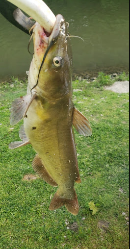 Beaver Point Campground