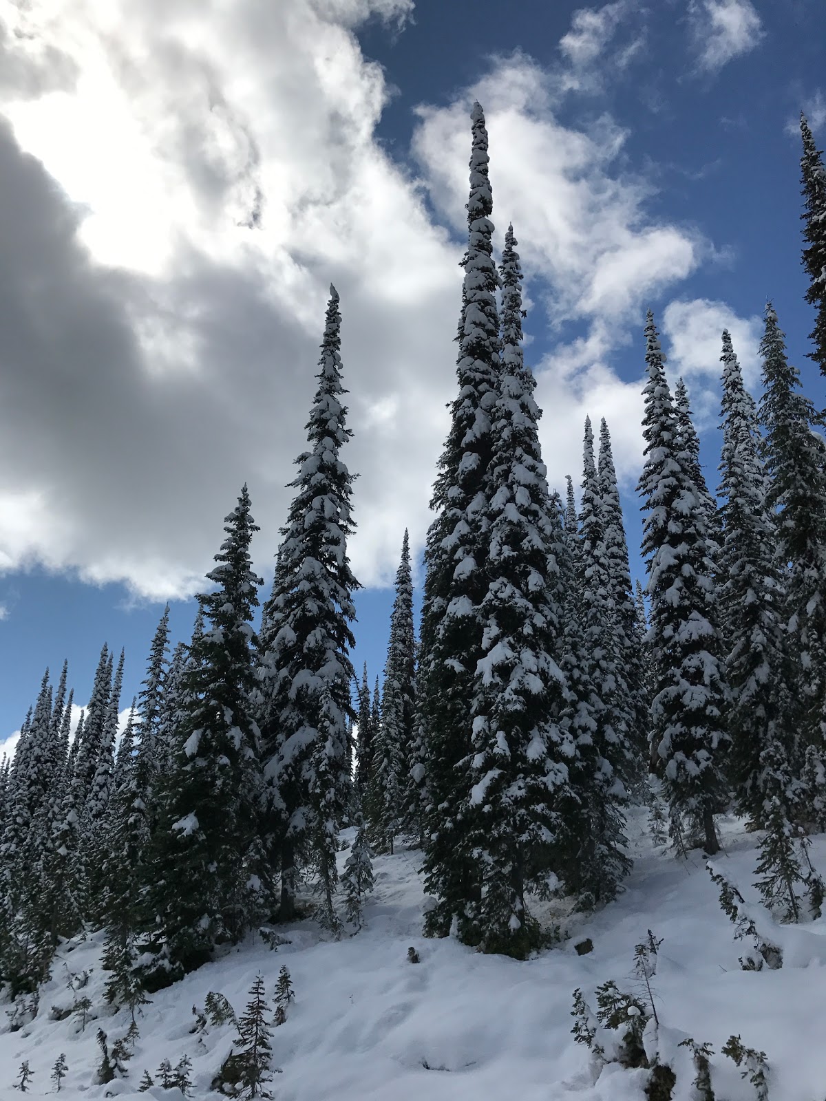 Schumaker Campground