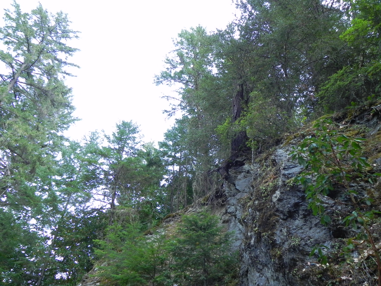 Squaw Lakes Campground