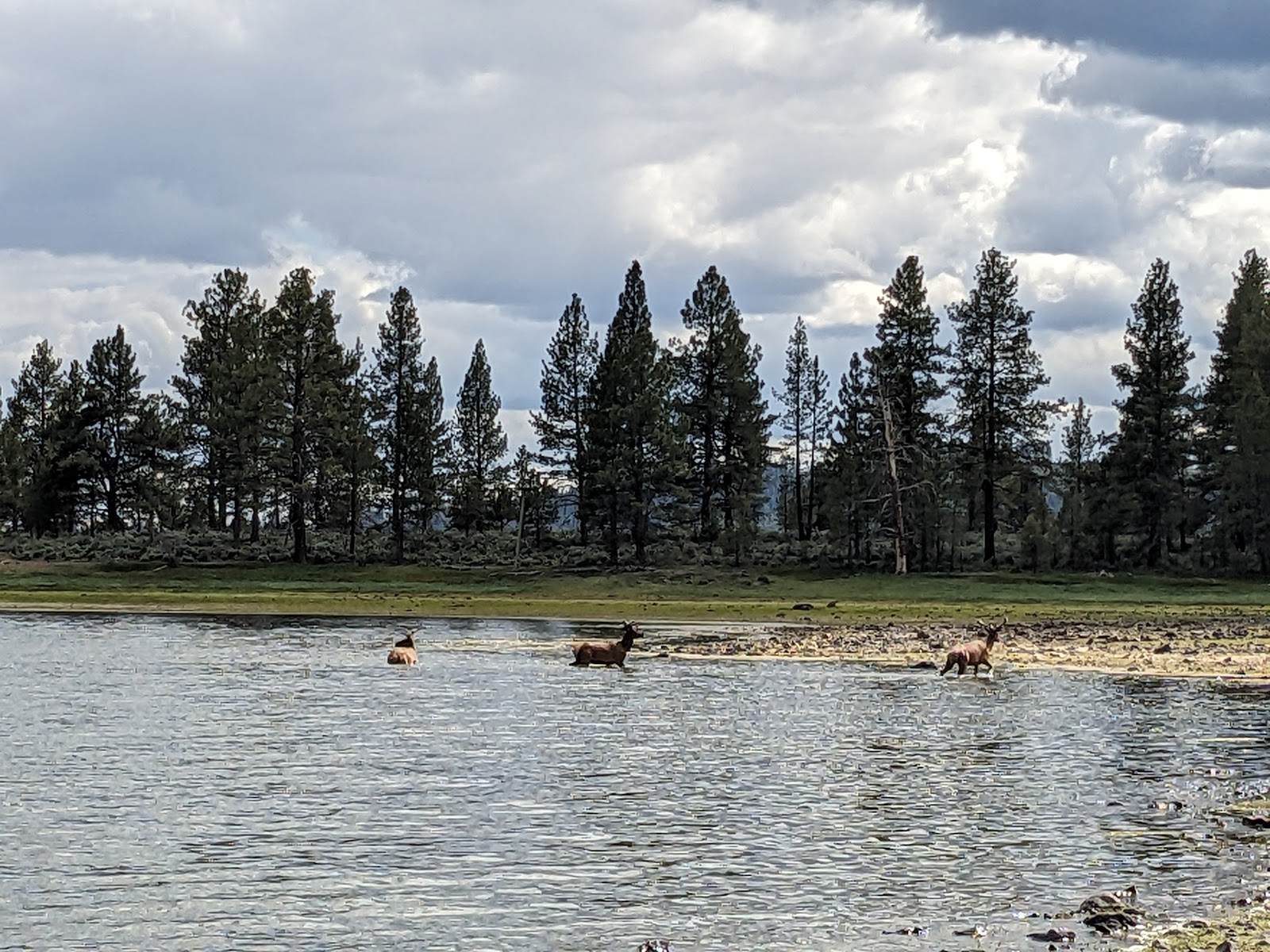 Thompson Reservoir Campground