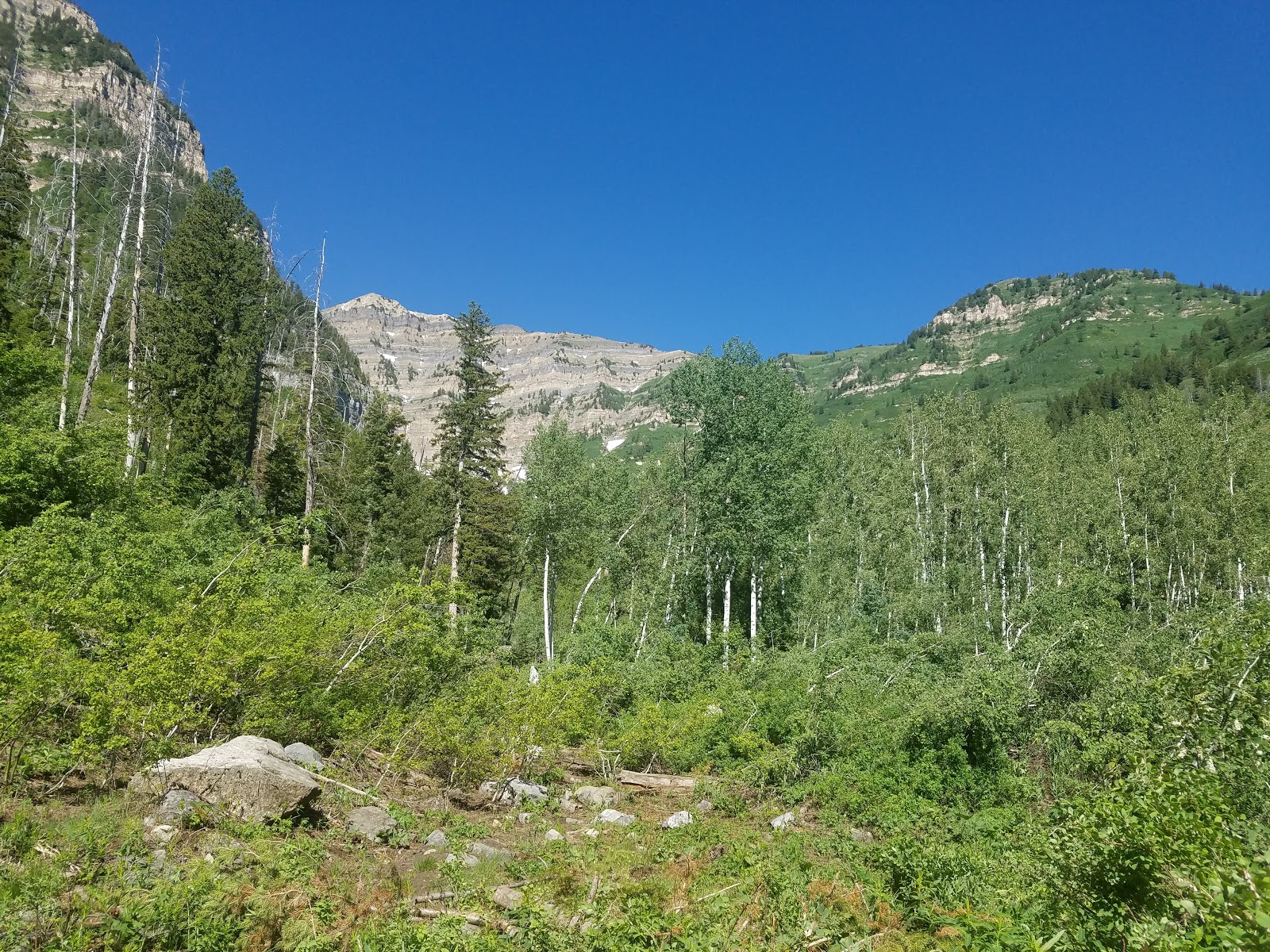 Theater In The Pines Group Site