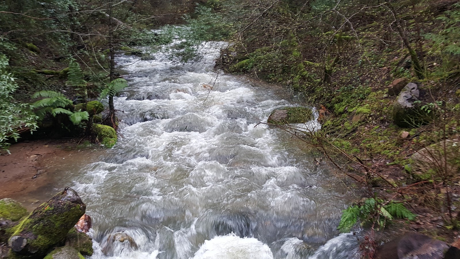 Feather Falls Trailhead Campground