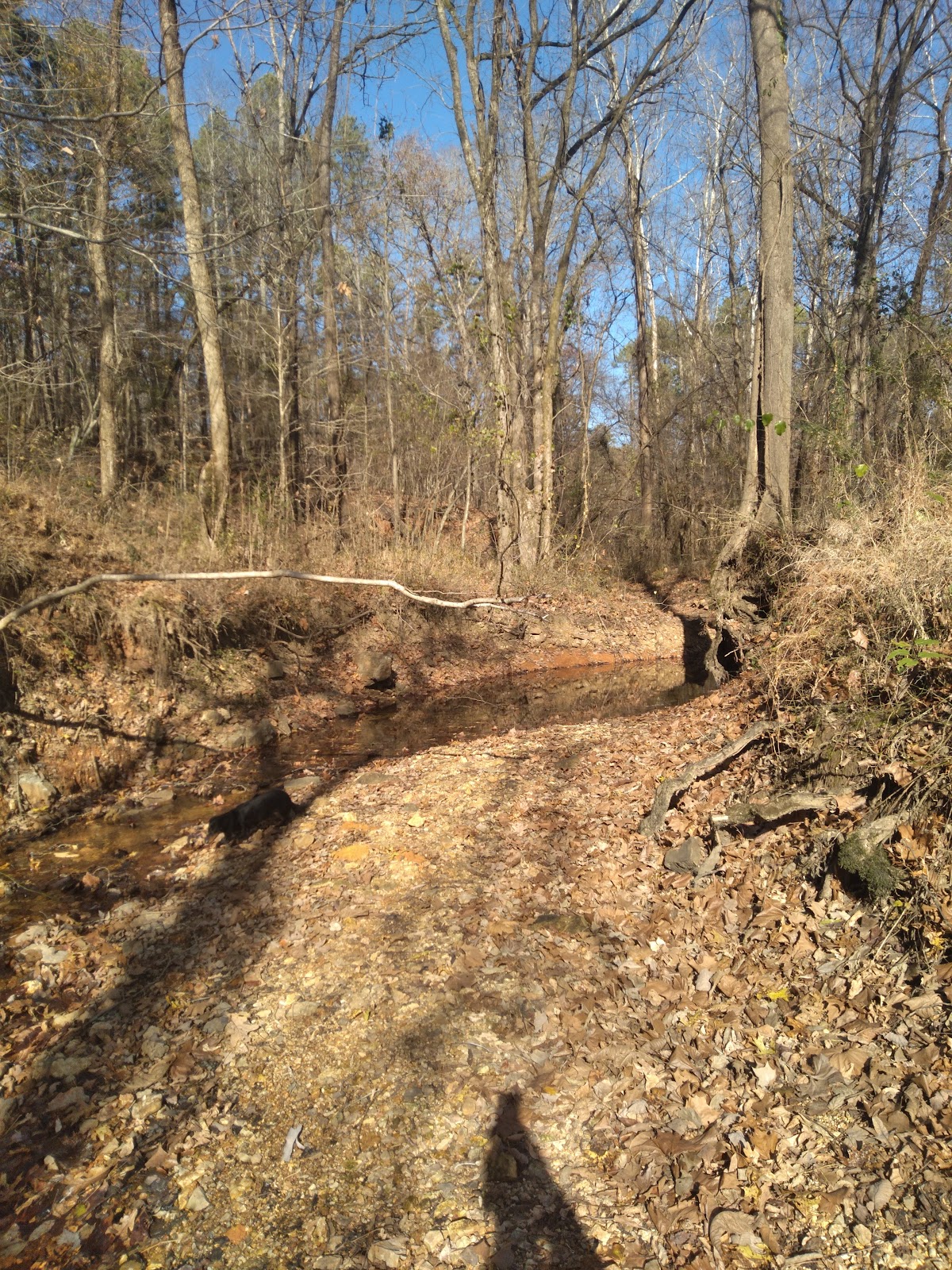 Mark Twain National Forest