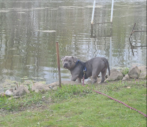 Rivergate Family Campground