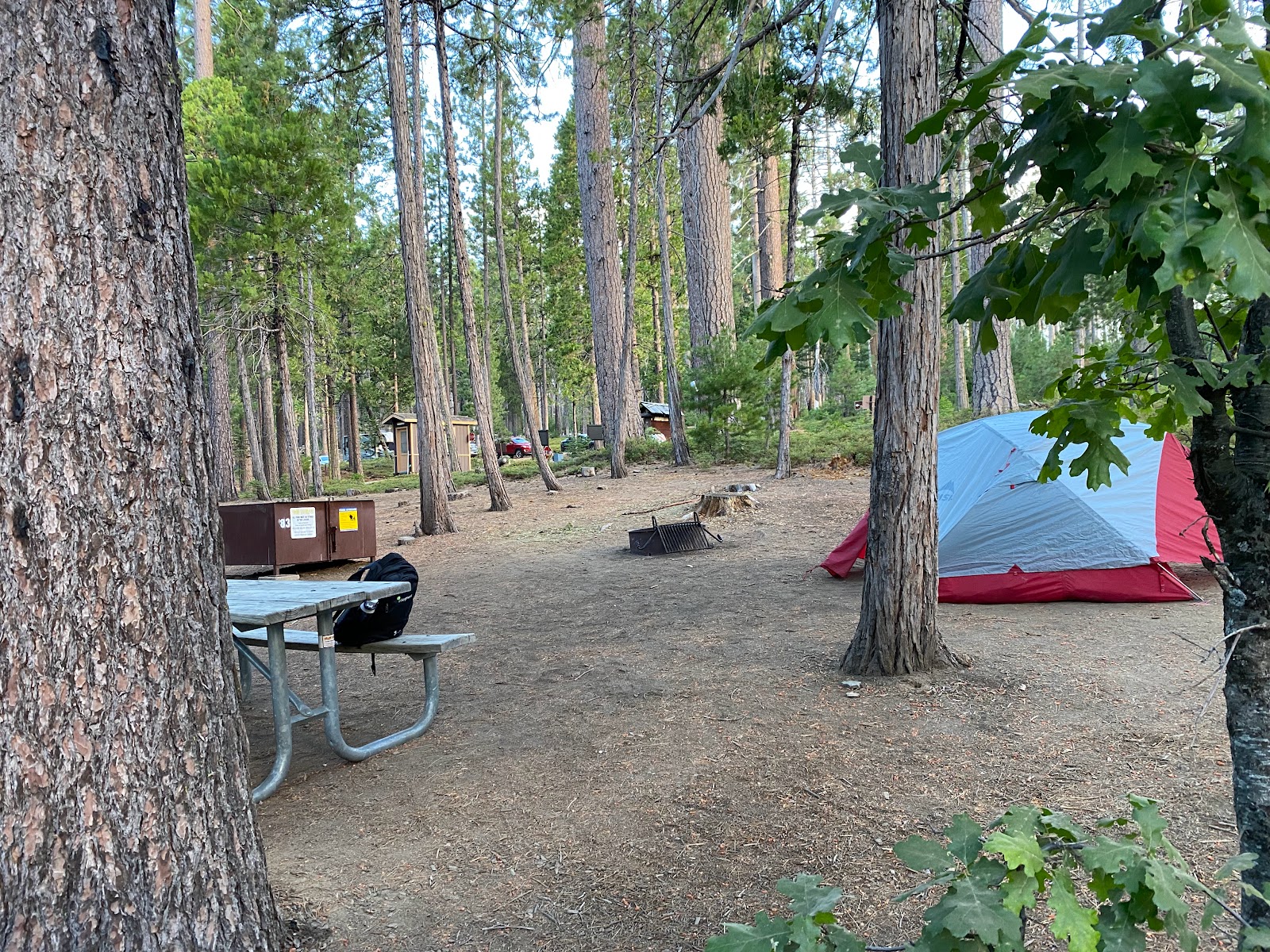 Hodgdon Meadow - Yosemite National Park
