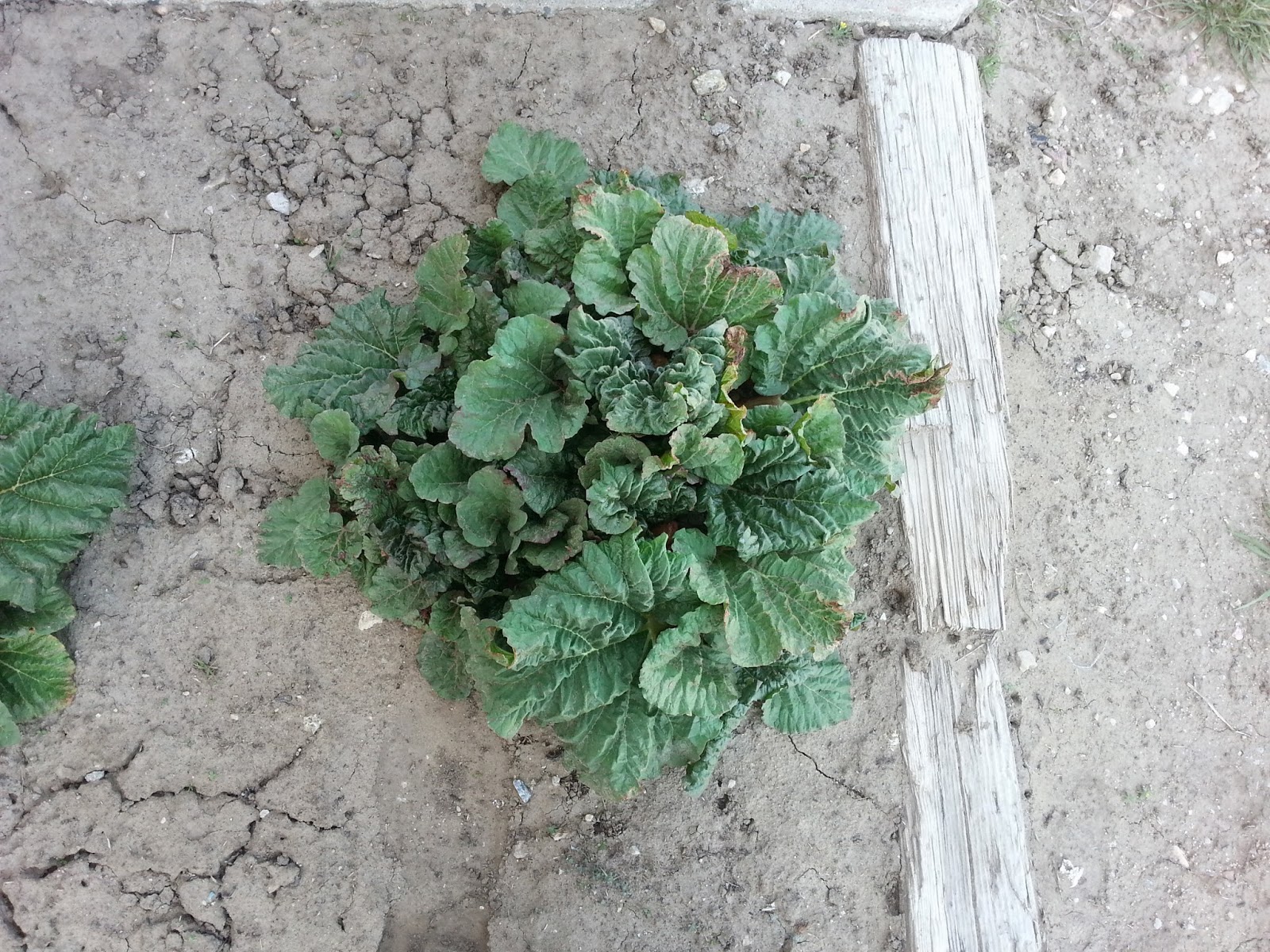 Prairie View Campground