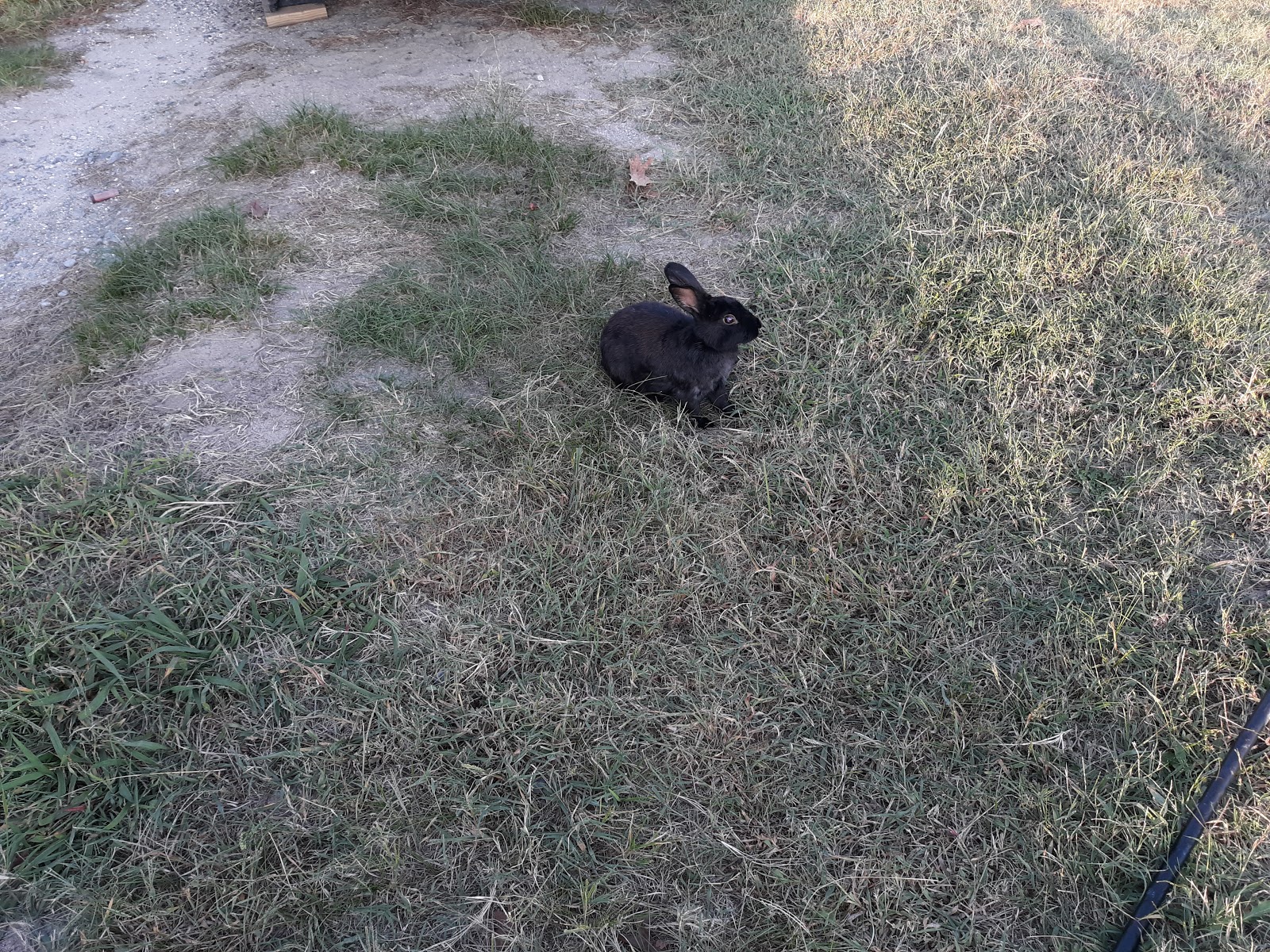 Taylors Island Family Campgrounds