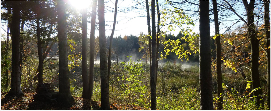 Baker’s Acres Campground and Golf Driving Range