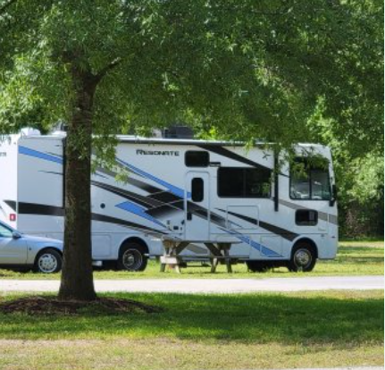 Contentnea Creekside City Park