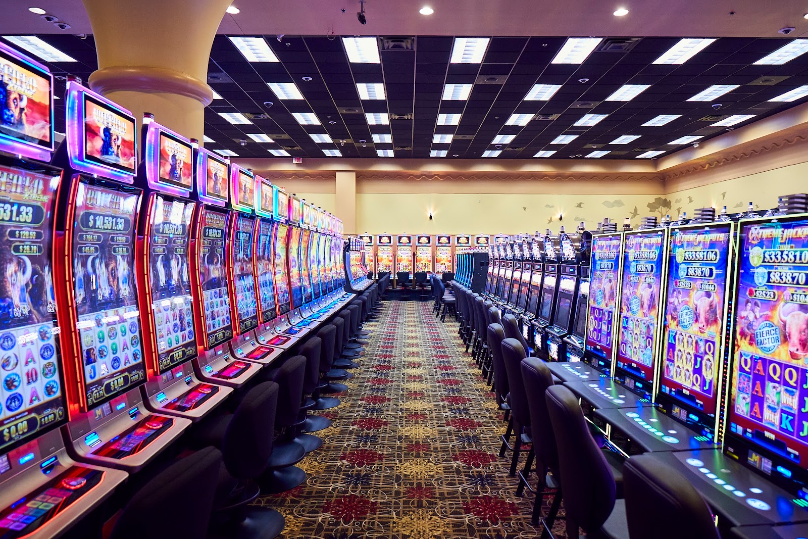 Miccosukee Resort & Gaming