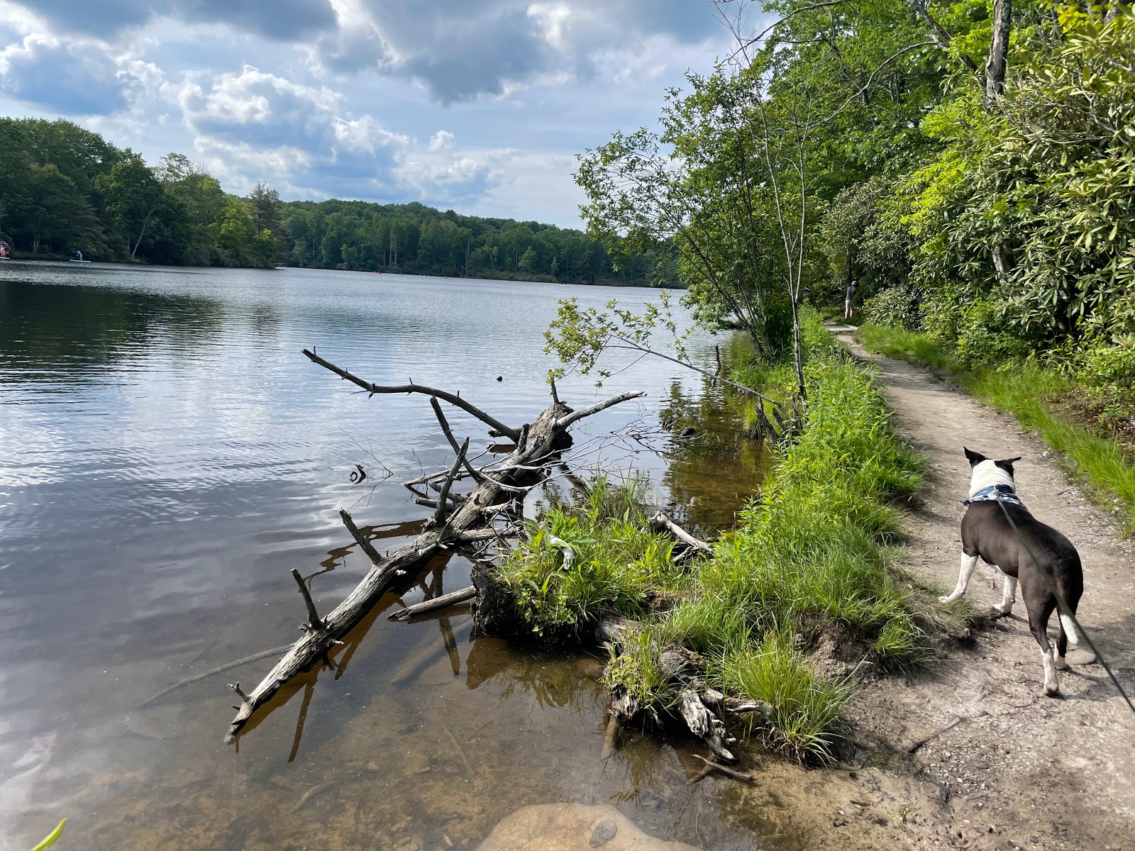Julian Price Park Campground - Blue Ridge Parkway National Park