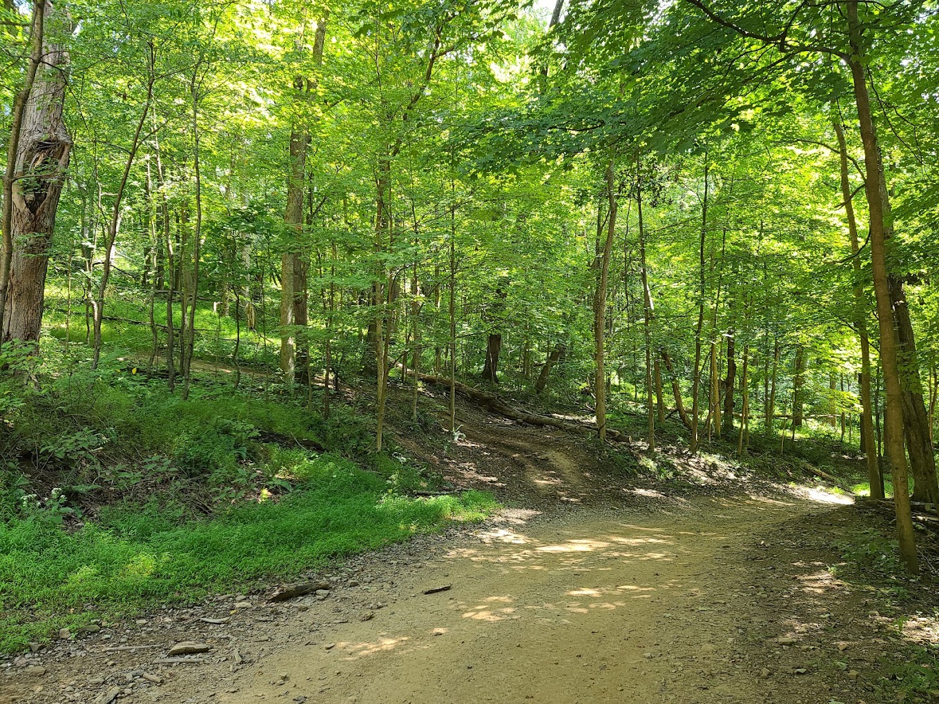 Four Seasons Camping Resort