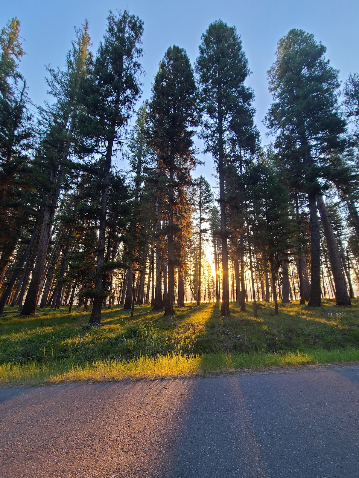 River Point Campground