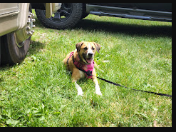 Lakeland RV Campground