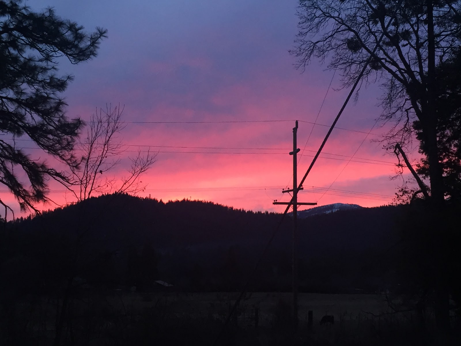 Chateau Shasta Mobile Home and RV Park