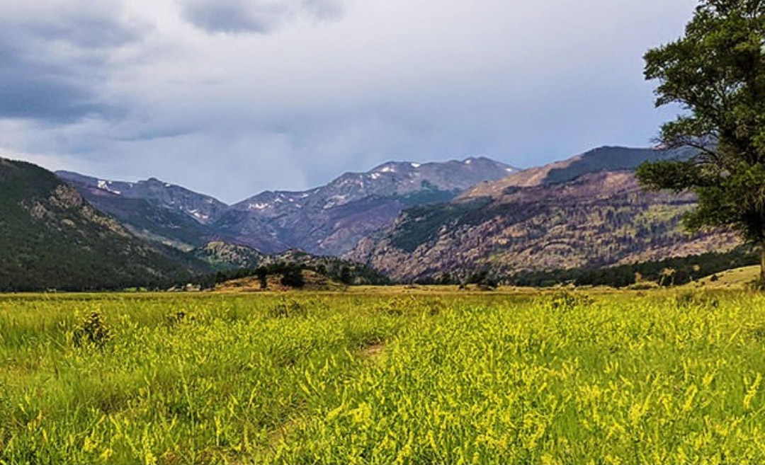 Moraine Park - Rocky Mountain National Park