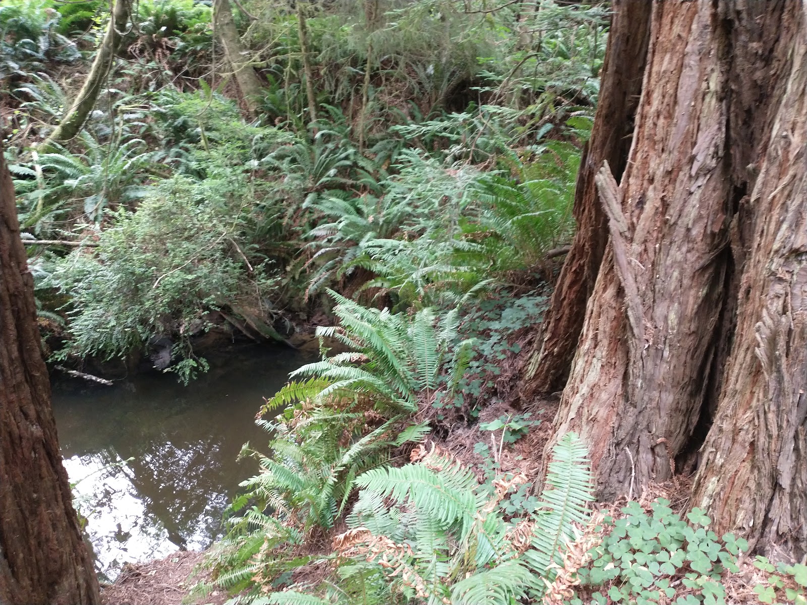 Sylvan Harbor RV Park and Cabins