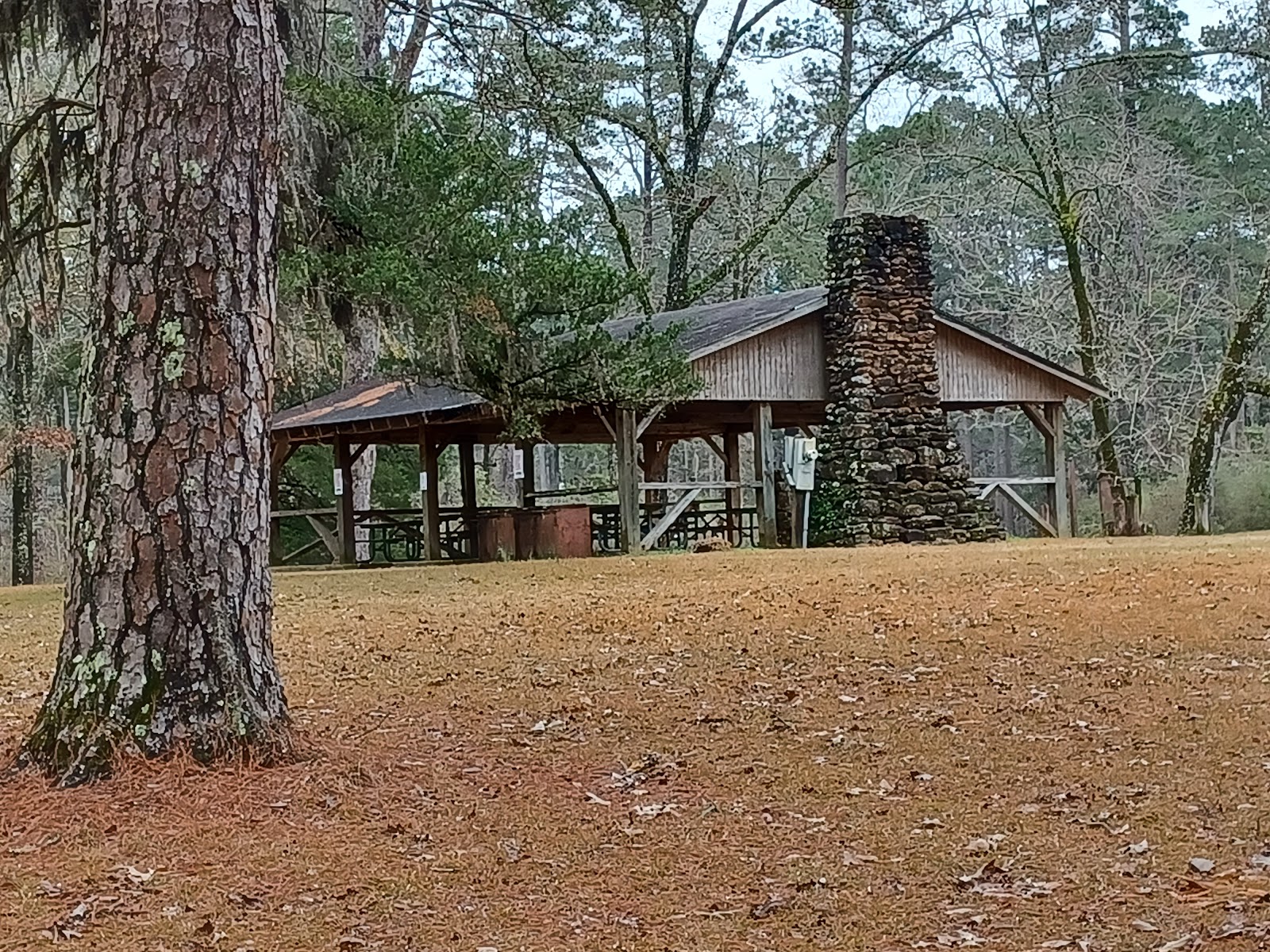 Boles Field NF Campground