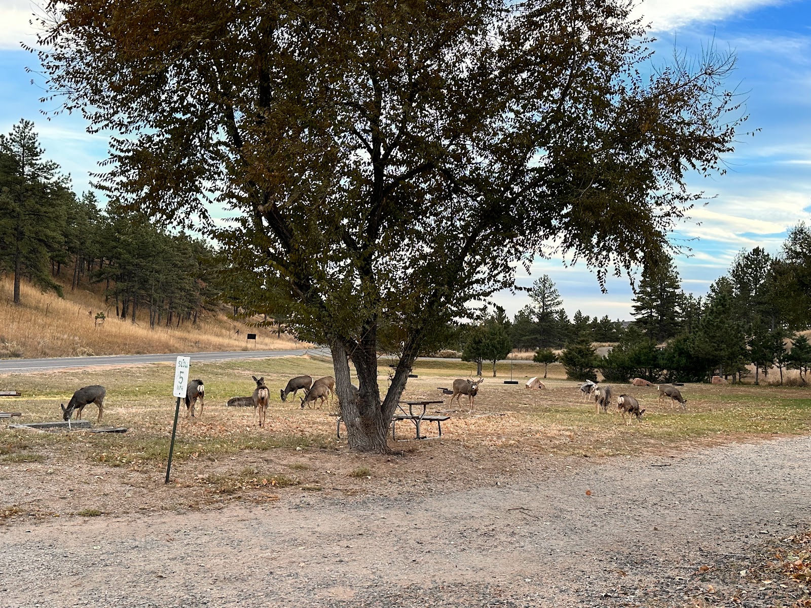 North Shore RV & Store